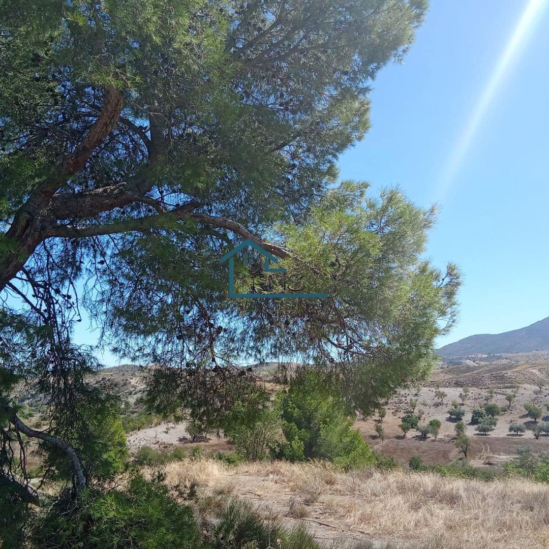 Ruin till salu i Henares - 45 000 € (Ref: 9231256)