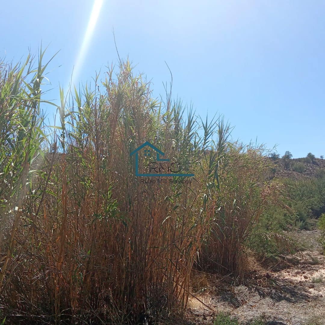 Ruin till salu i Henares - 45 000 € (Ref: 9231256)