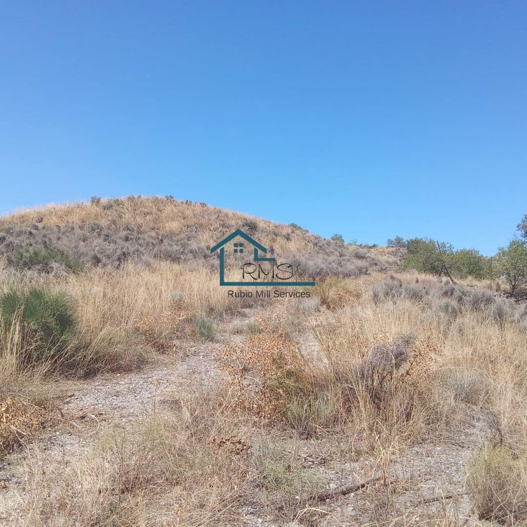 Ruin till salu i Henares - 45 000 € (Ref: 9231256)