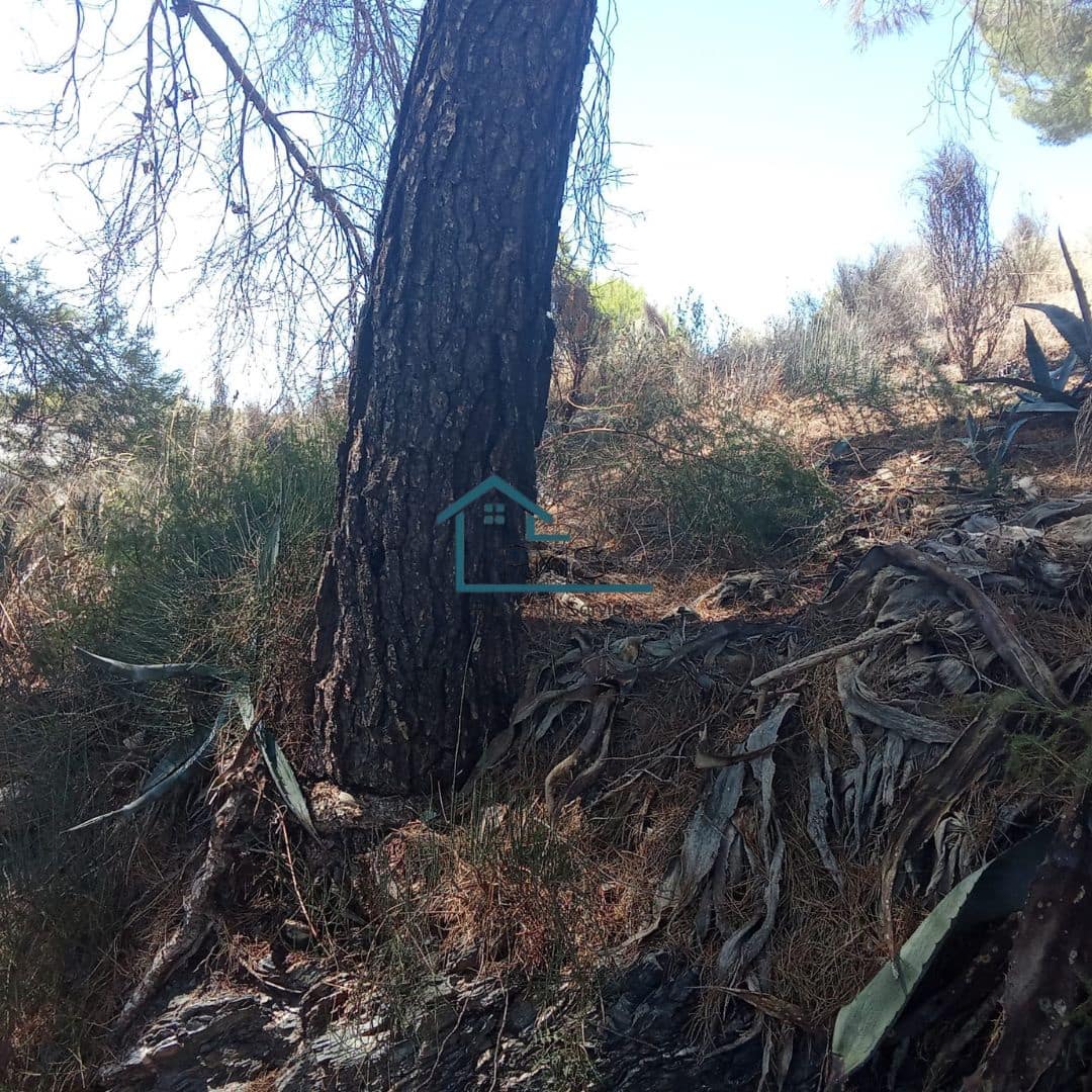 Ruin till salu i Henares - 45 000 € (Ref: 9231256)