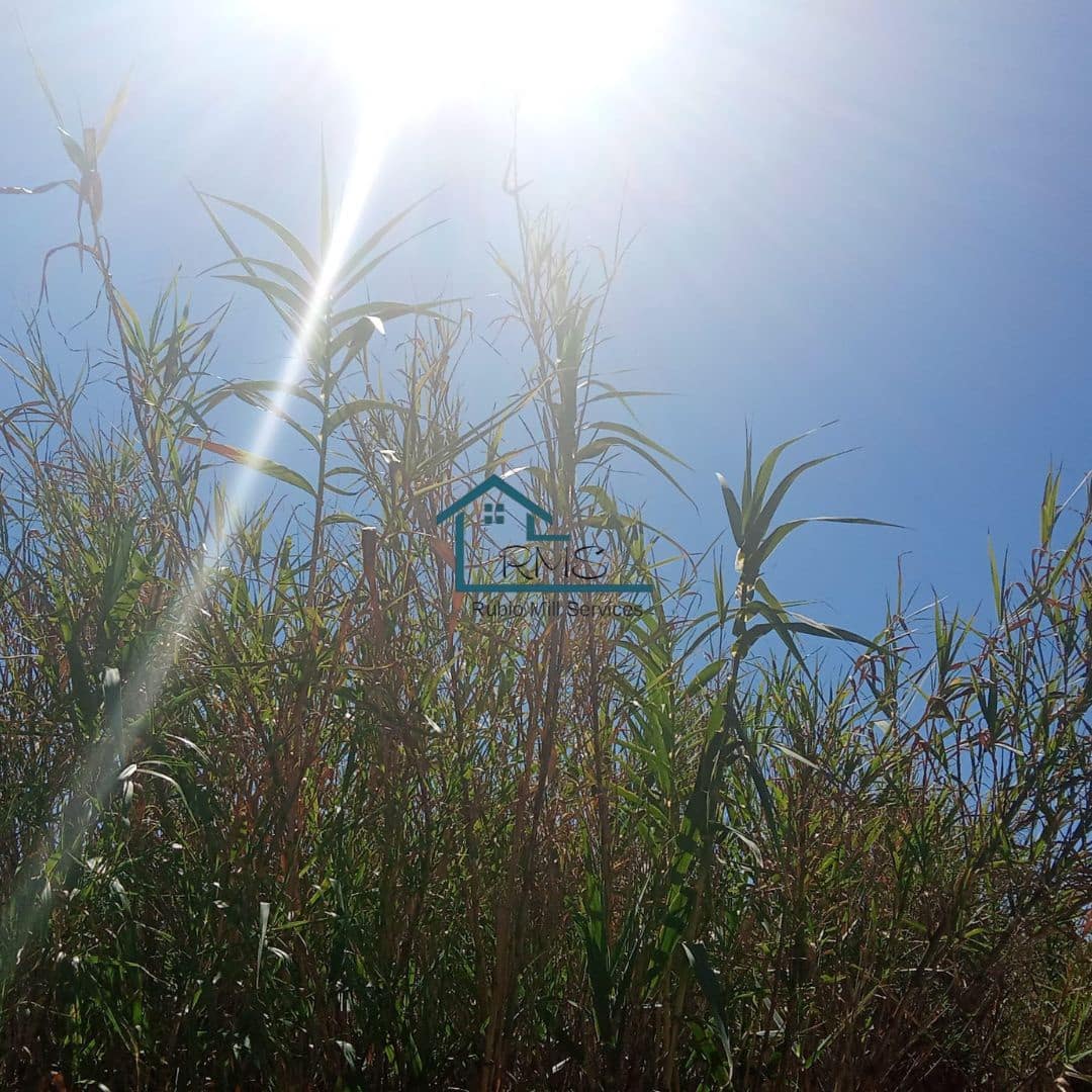 Ruin till salu i Henares - 45 000 € (Ref: 9231256)