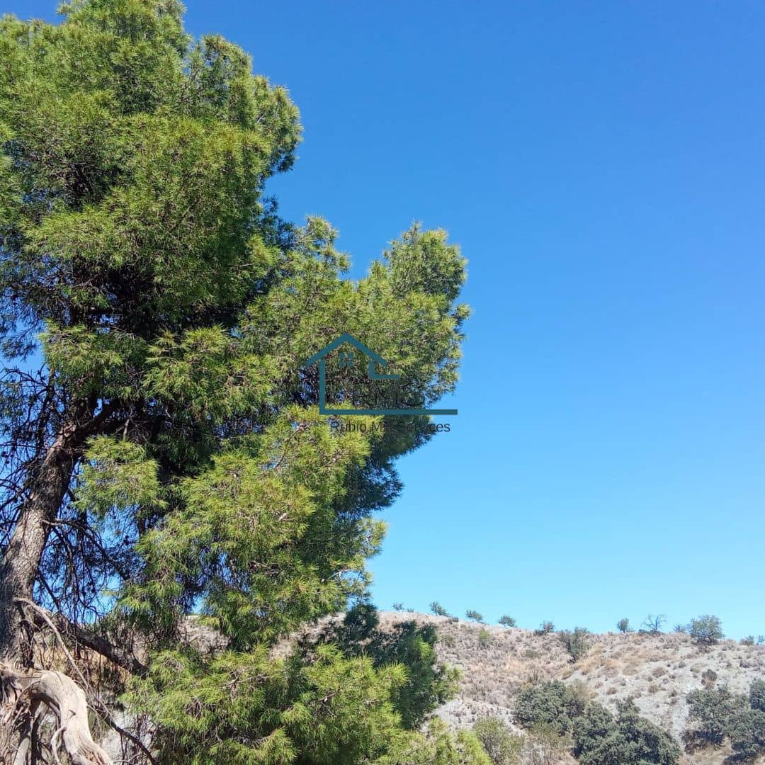 Ruin till salu i Henares - 45 000 € (Ref: 9231256)