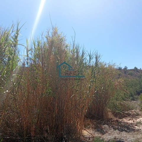 Rudere in vendita in Henares, Lorca - 45.000 € (Rif: 9231256)