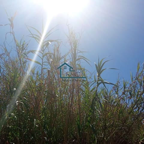 Rudere in vendita in Henares, Lorca - 45.000 € (Rif: 9231256)