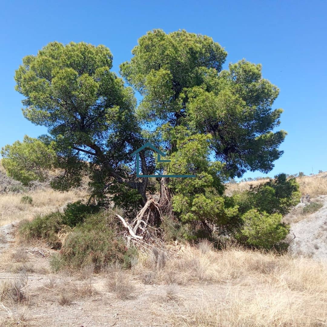 Ruin till salu i Henares - 45 000 € (Ref: 9231256)