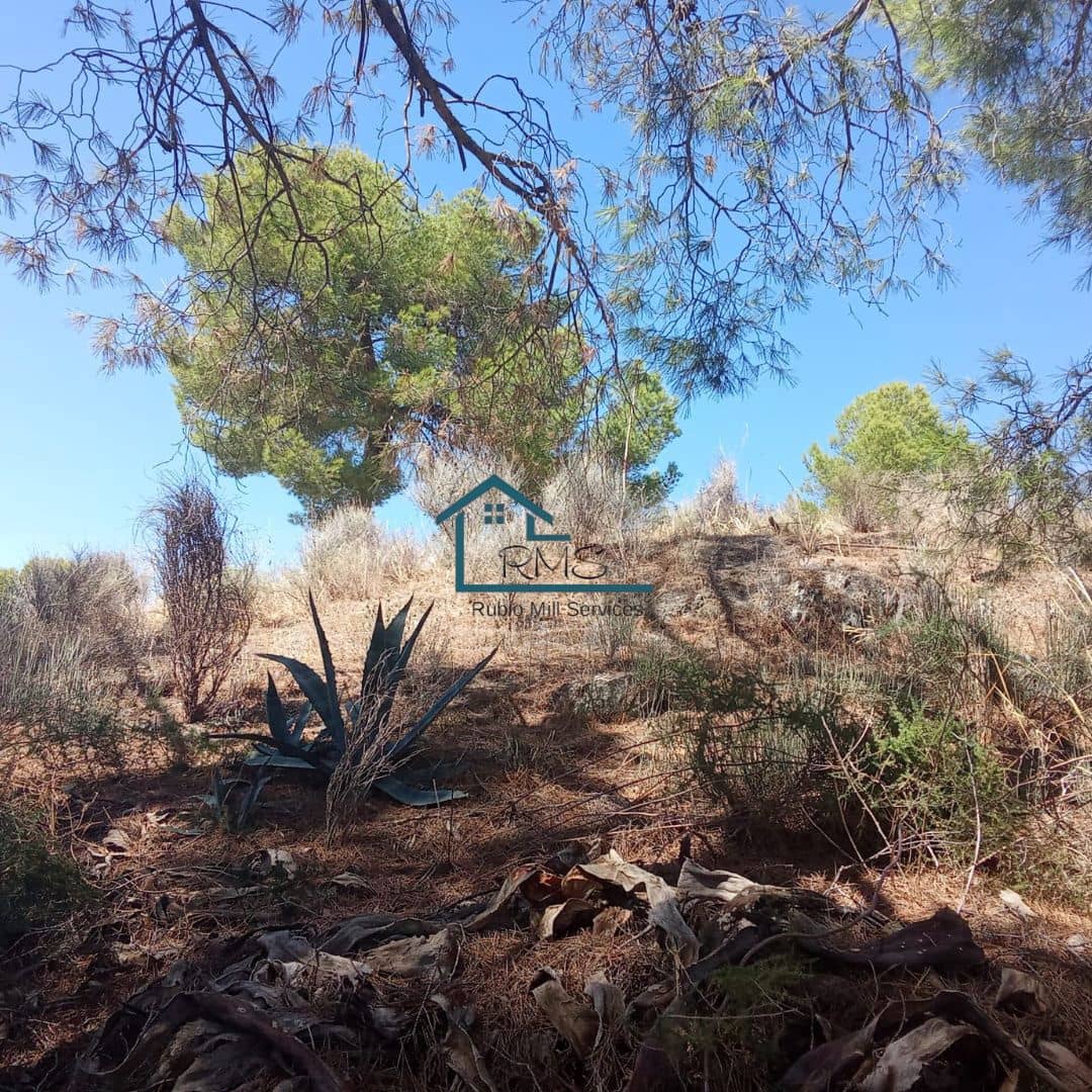 Ruin till salu i Henares - 45 000 € (Ref: 9231256)