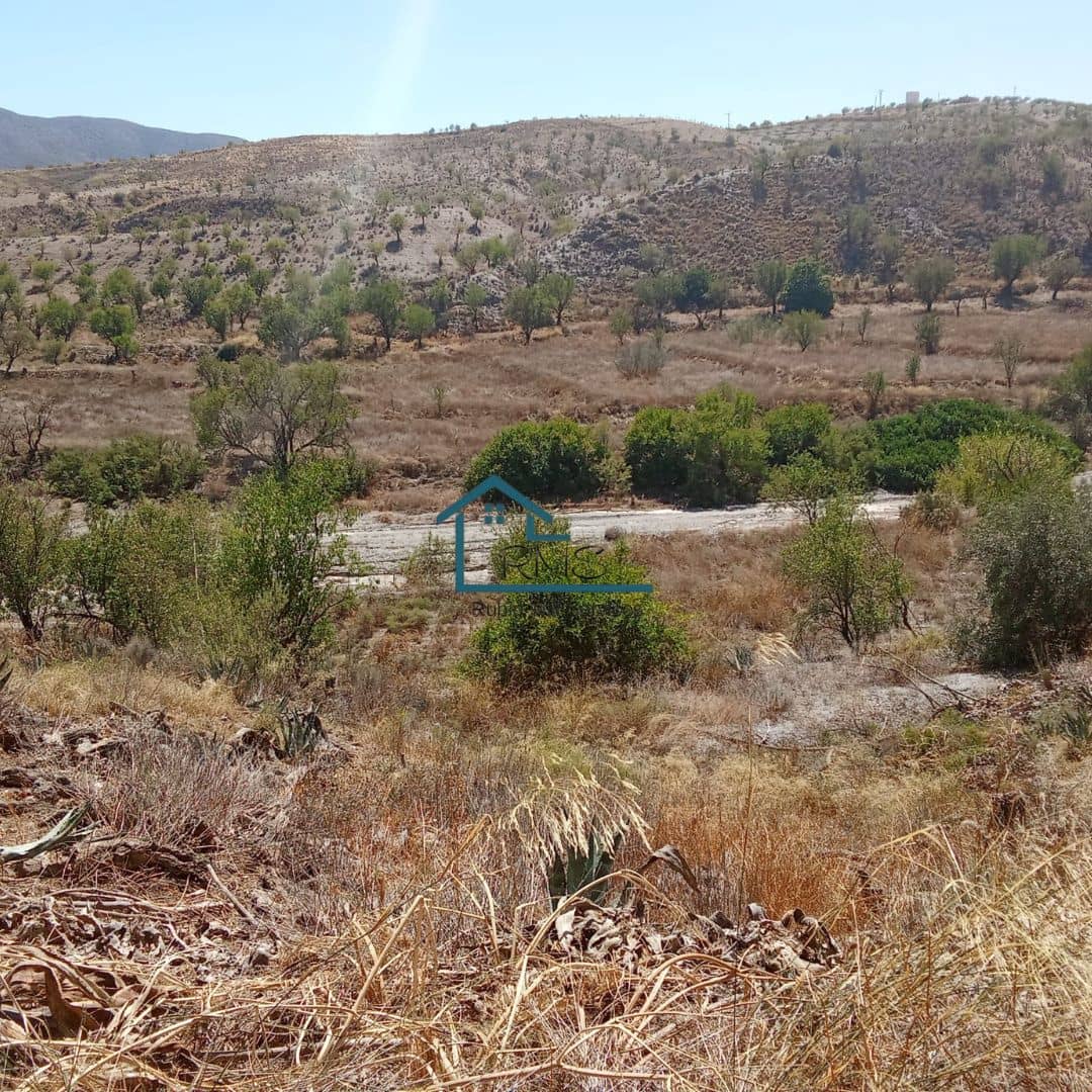 Ruin till salu i Henares - 45 000 € (Ref: 9231256)