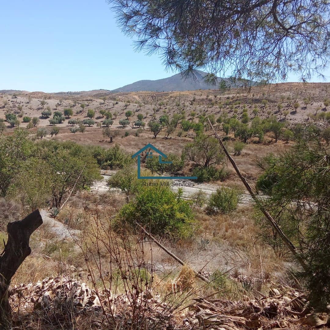 Ruin till salu i Henares - 45 000 € (Ref: 9231256)