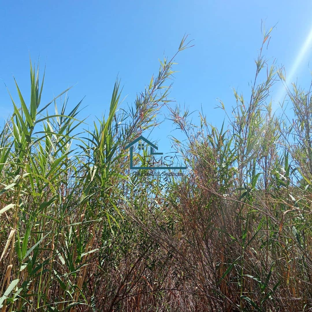 Ruin till salu i Henares - 45 000 € (Ref: 9231256)