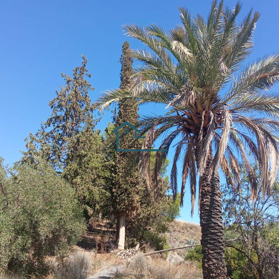 Ruin till salu i Henares - 45 000 € (Ref: 9231256)