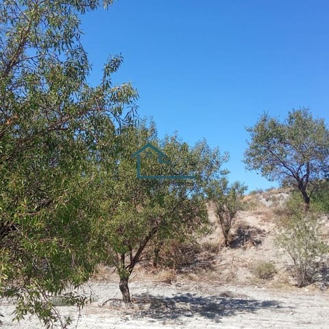 Rudere in vendita in Henares, Lorca - 45.000 € (Rif: 9231256)