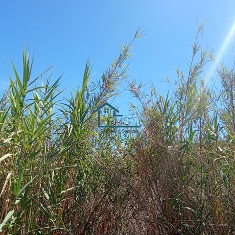 Rudere in vendita in Henares, Lorca - 45.000 € (Rif: 9231256)