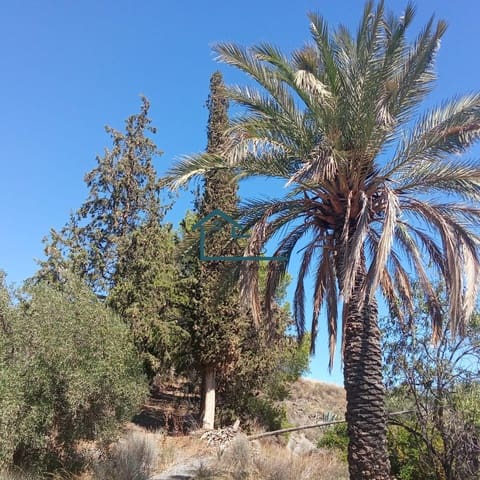 Rudere in vendita in Henares, Lorca - 45.000 € (Rif: 9231256)