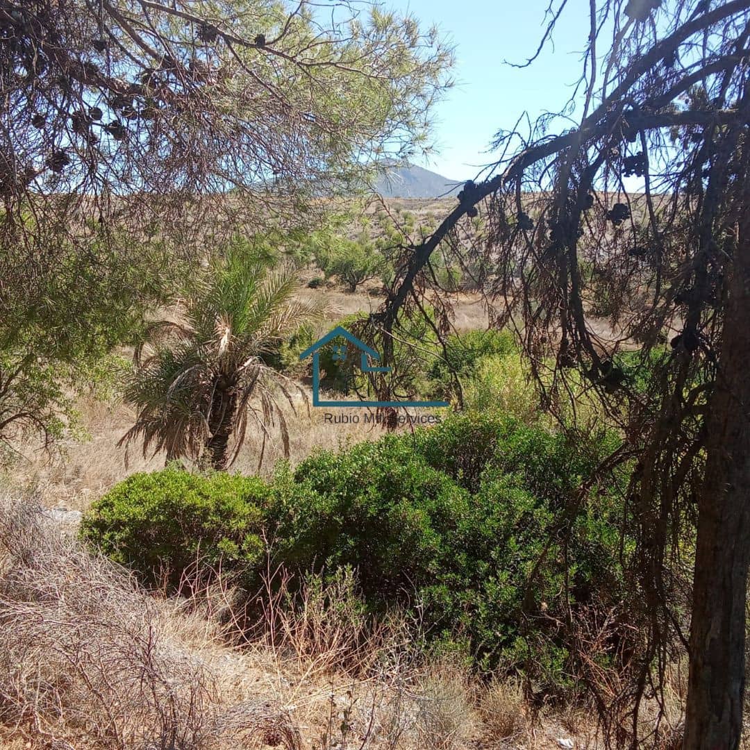 Ruin till salu i Henares - 45 000 € (Ref: 9231256)