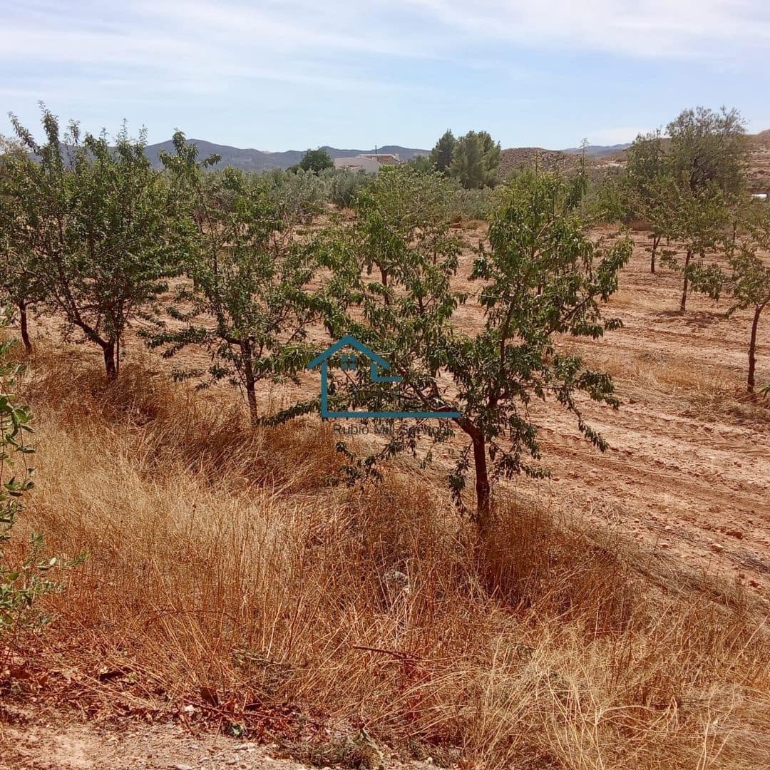 3 slaapkamer Villa te koop in Velez-Blanco met zwembad garage - € 265.000 (Ref: 9247665)