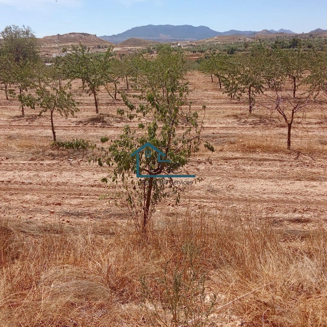 3 slaapkamer Villa te koop in Velez-Blanco met zwembad garage - € 265.000 (Ref: 9247665)