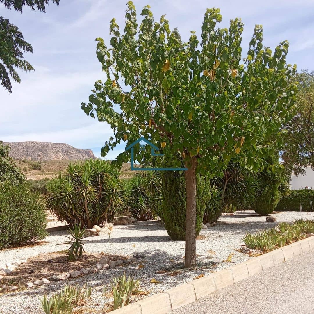 3 slaapkamer Villa te koop in Velez-Blanco met zwembad garage - € 265.000 (Ref: 9247665)