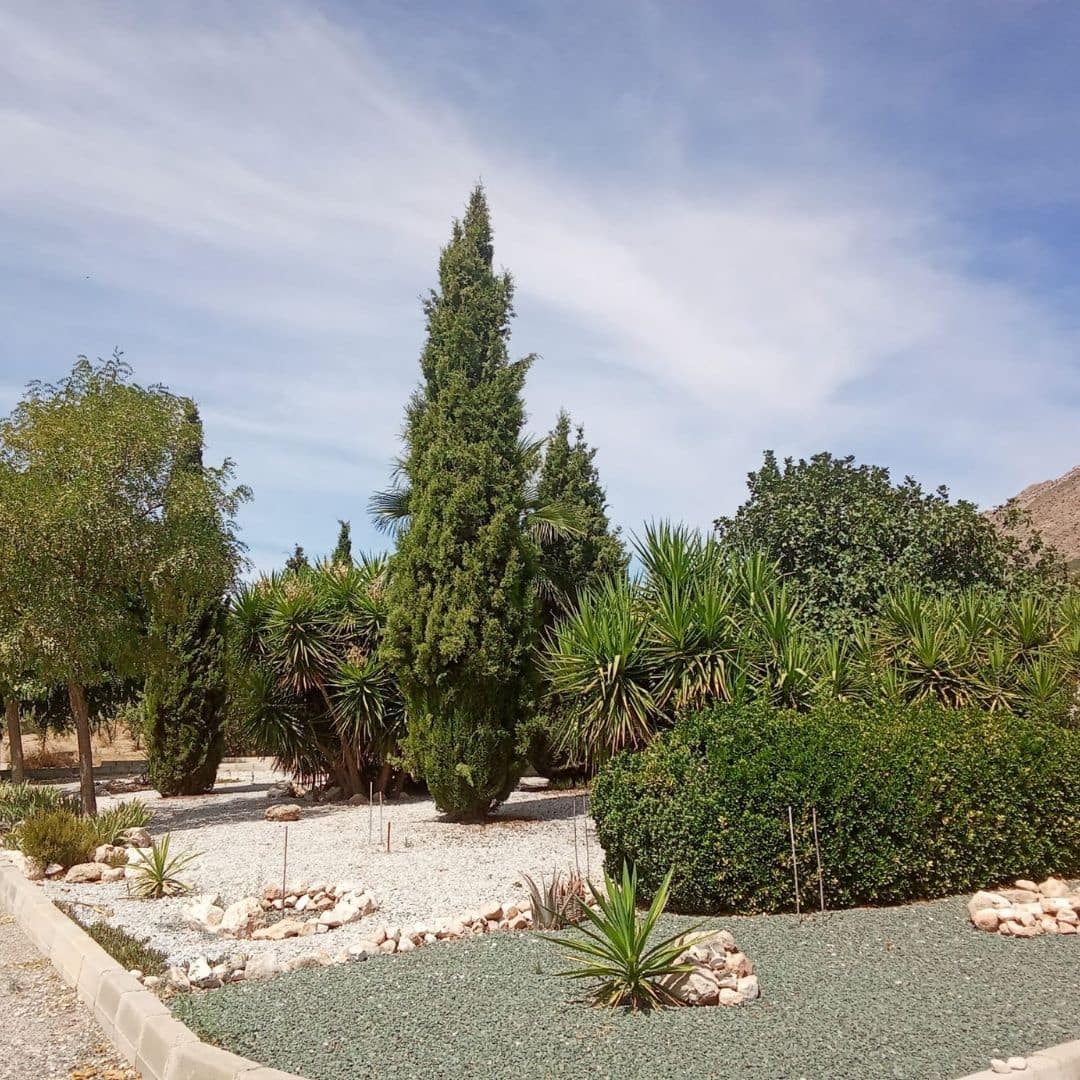 3 slaapkamer Villa te koop in Velez-Blanco met zwembad garage - € 265.000 (Ref: 9247665)