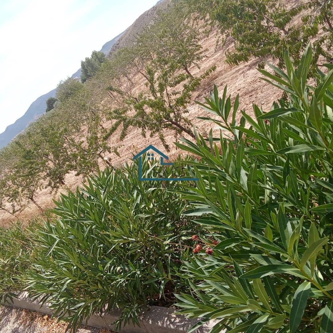 3 slaapkamer Villa te koop in Velez-Blanco met zwembad garage - € 265.000 (Ref: 9247665)