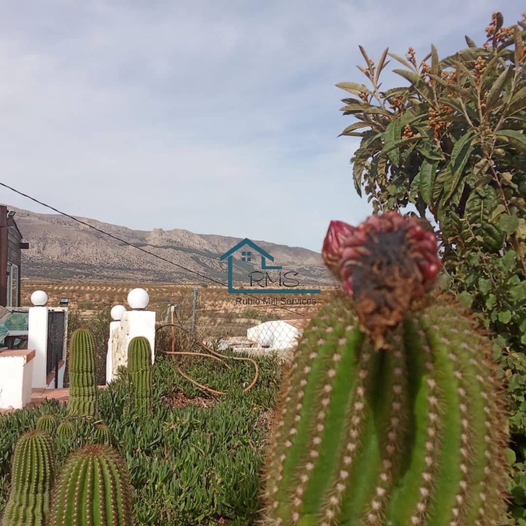 5 bedroom Finca/Country House for sale in Chirivel with pool garage - € 395,000 (Ref: 9371287)