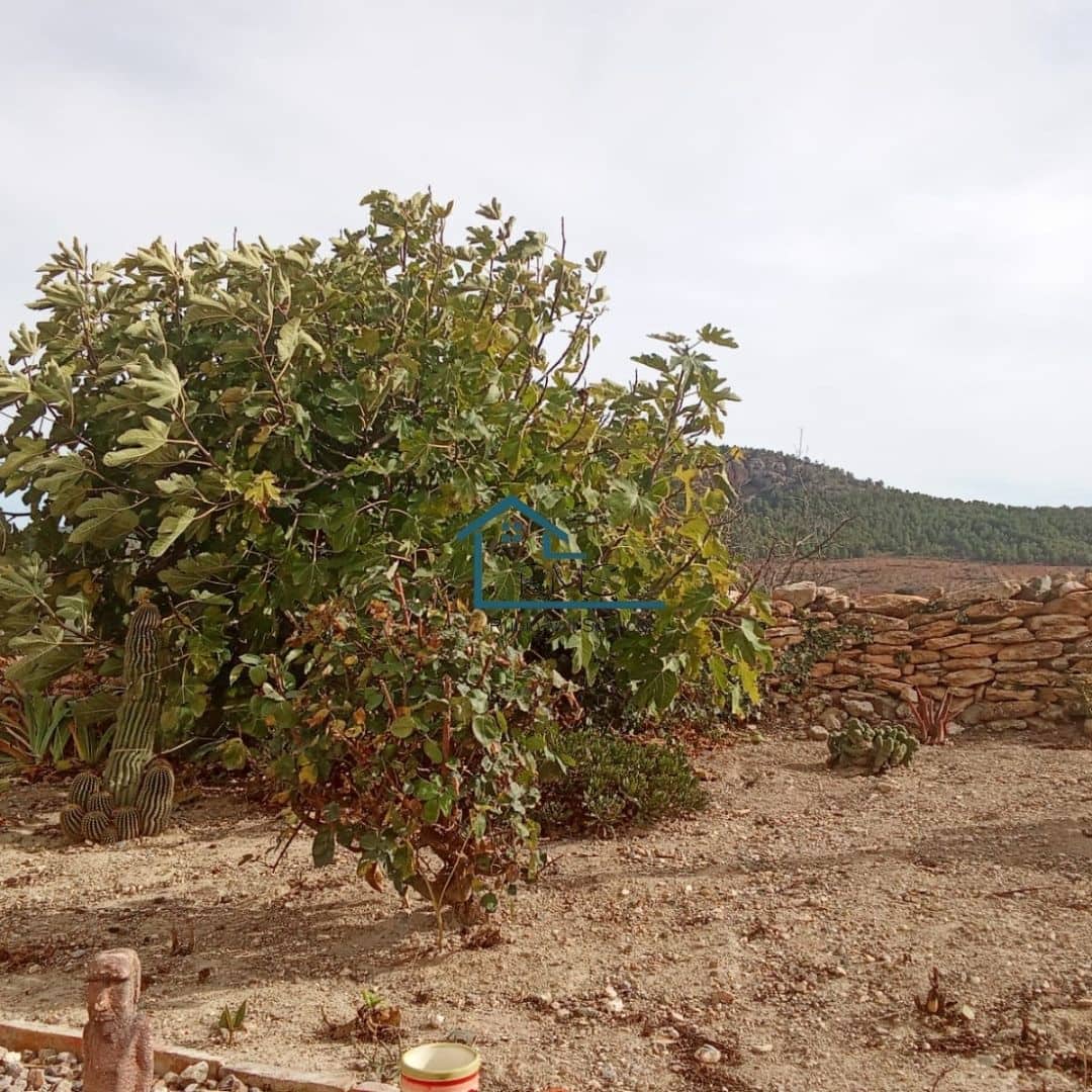 5 bedroom Finca/Country House for sale in Chirivel with pool garage - € 395,000 (Ref: 9371287)