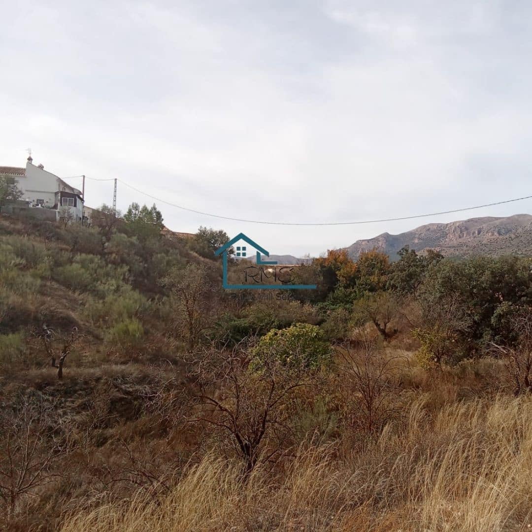 5 bedroom Finca/Country House for sale in Chirivel with pool garage - € 395,000 (Ref: 9371287)