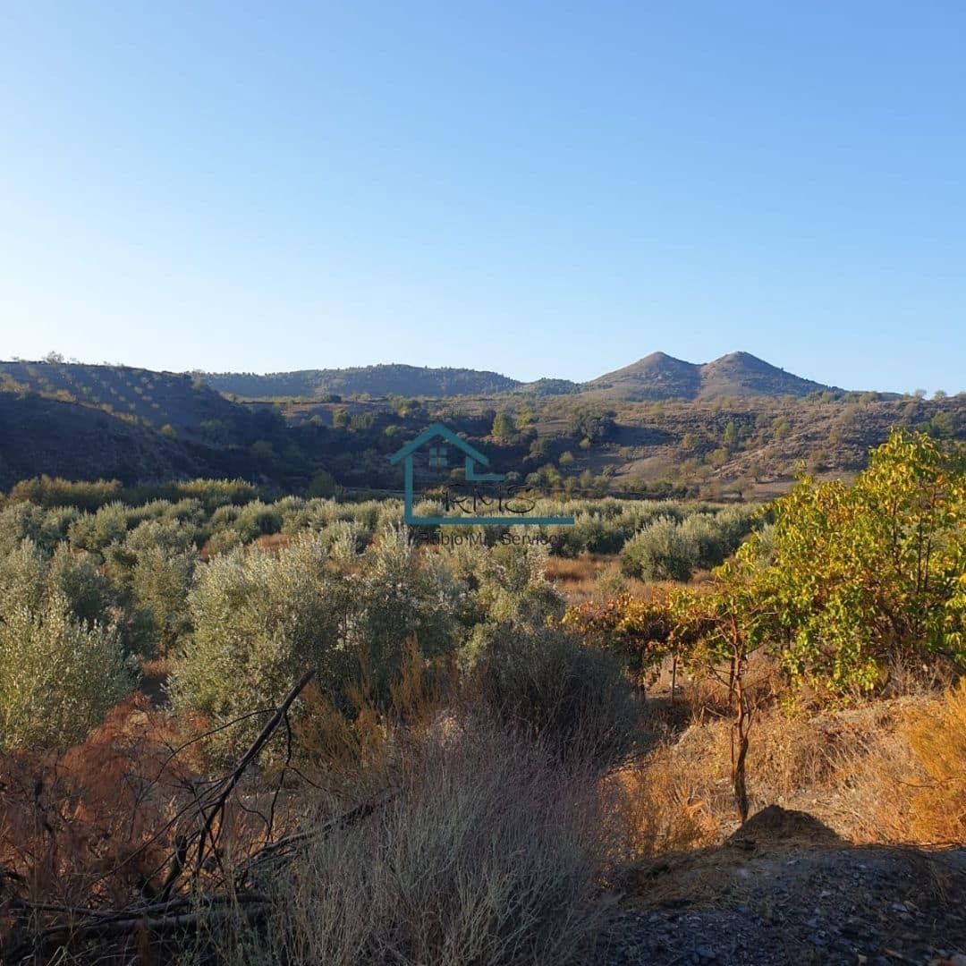 3 slaapkamer Villa te koop in Velez-Rubio met zwembad garage - € 229.000 (Ref: 9417832)