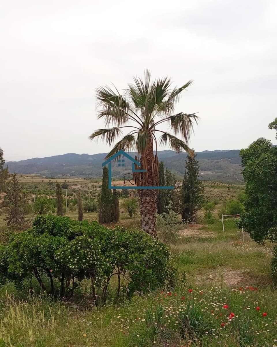5 bedroom Finca/Country House for sale in Lorca with pool garage - € 325,000 (Ref: 9814085)