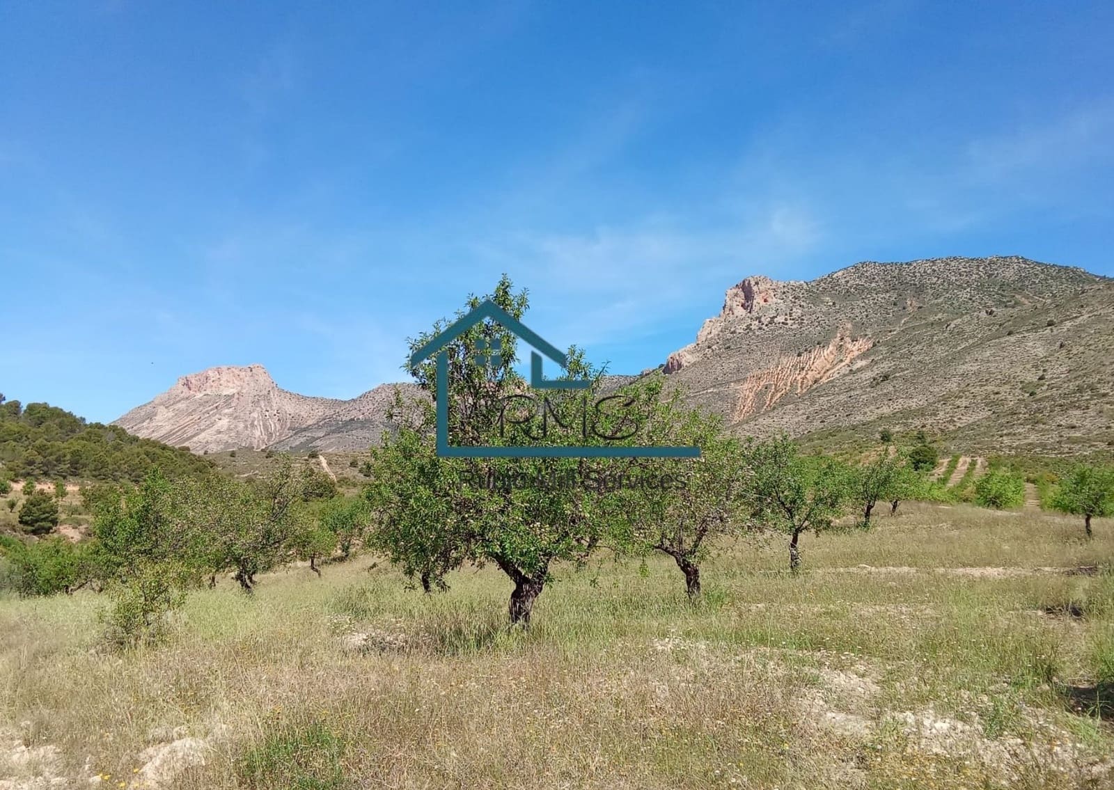 5 bedroom Finca/Country House for sale in Lorca with pool garage - € 325,000 (Ref: 9814085)