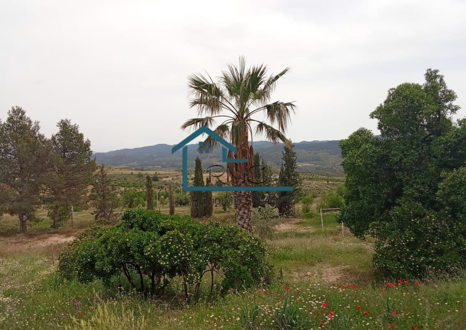5 bedroom Finca/Country House for sale in Lorca with pool garage - € 325,000 (Ref: 9814085)