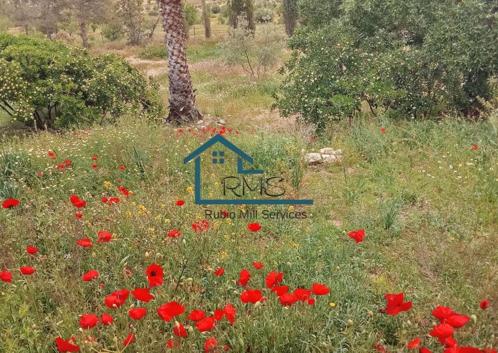 5 bedroom Finca/Country House for sale in Lorca with pool garage - € 325,000 (Ref: 9814085)