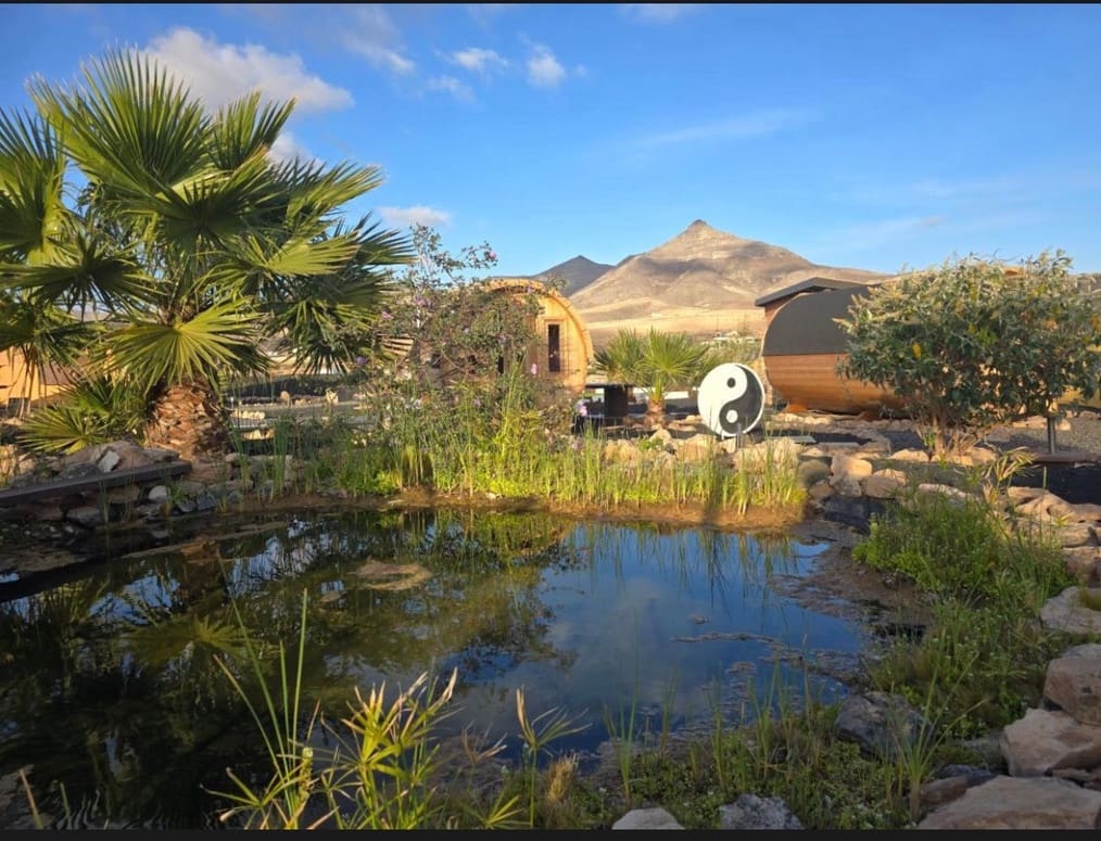 8 slaapkamer Finca/Landhuis te koop in Puerto del Rosario met zwembad garage - € 1.149.000 (Ref: 9436281)