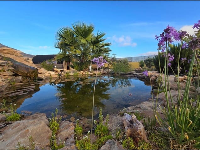 9 soveværelse Finca/Landehus til salg i Puerto del Rosario med swimmingpool garage - € 1.490.000 (Ref: 9436281)