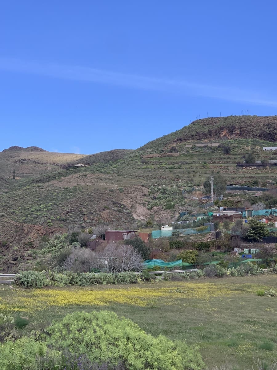 Grond te koop in San Bartolome de Tirajana - € 48.000 (Ref: 9780808)