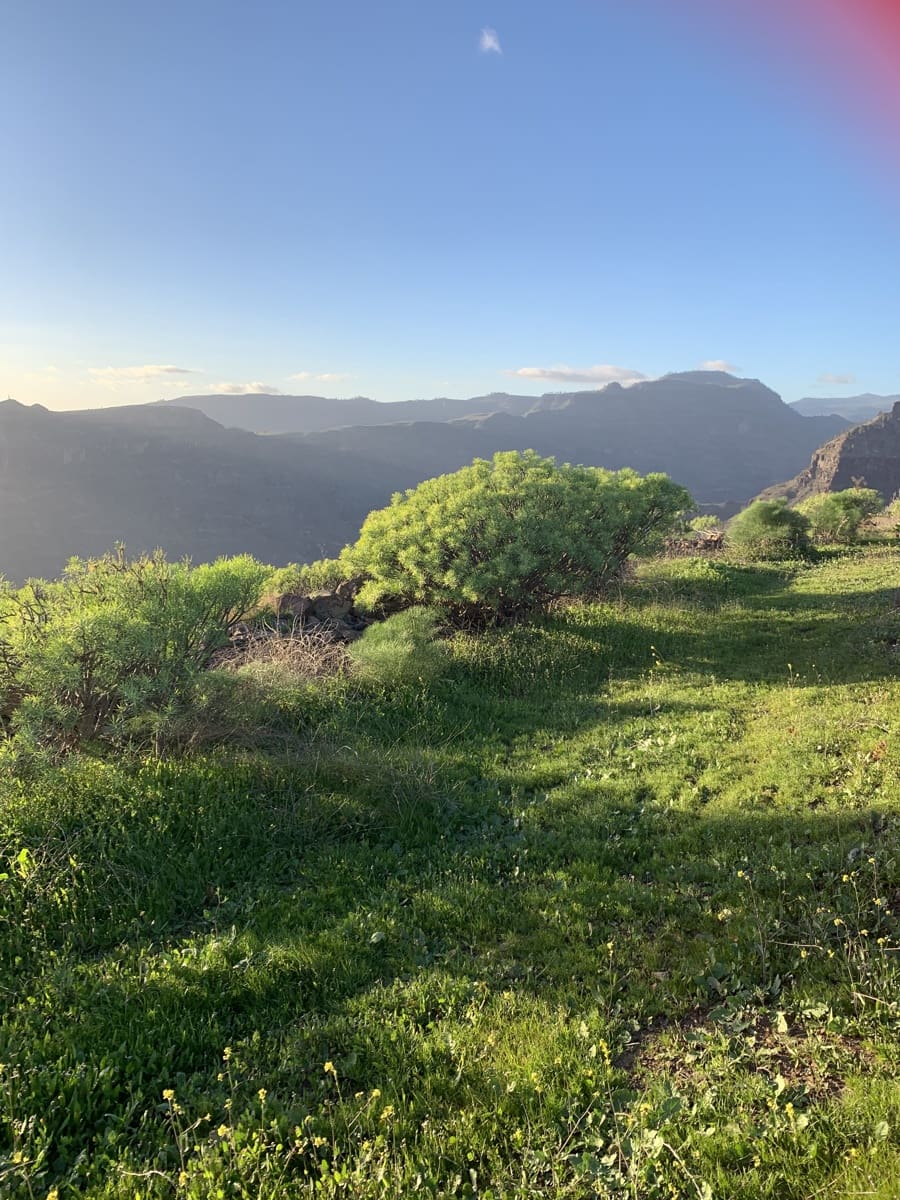 Grond te koop in San Bartolome de Tirajana - € 48.000 (Ref: 9780808)