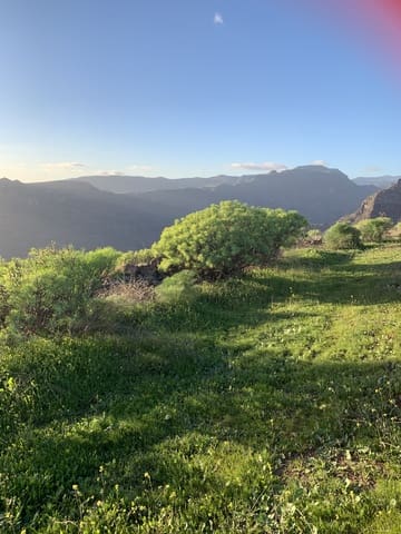 Grond te koop in San Bartolomé de Tirajana - € 48.000 (Ref: 9780808)