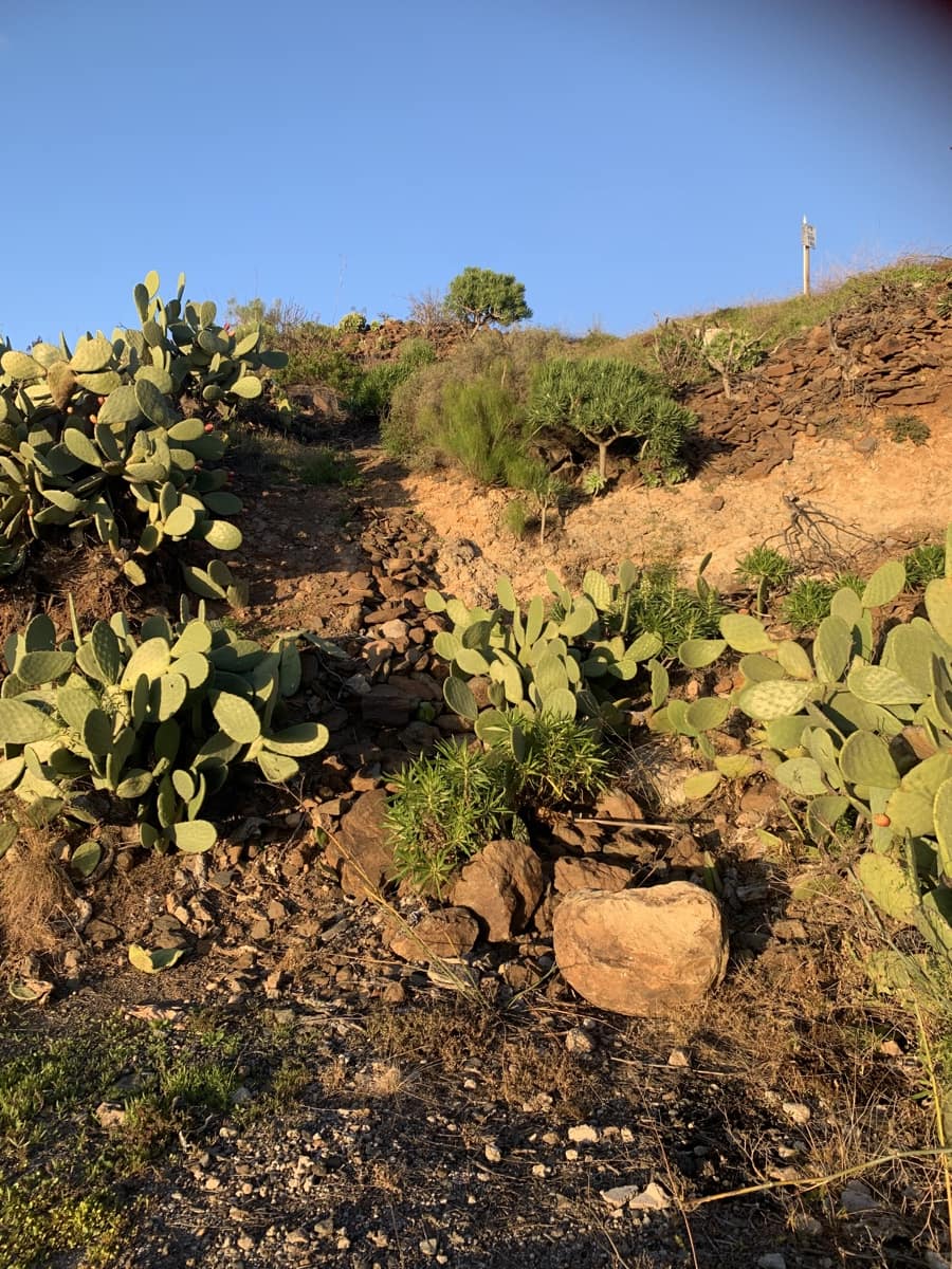 Grond te koop in San Bartolome de Tirajana - € 48.000 (Ref: 9780808)