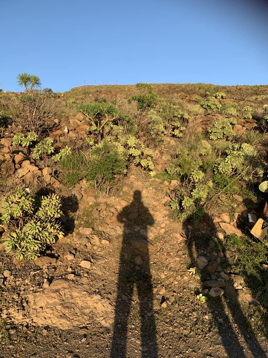 Grond te koop in San Bartolome de Tirajana - € 48.000 (Ref: 9780808)