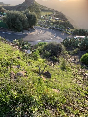 Grond te koop in San Bartolomé de Tirajana - € 48.000 (Ref: 9780808)