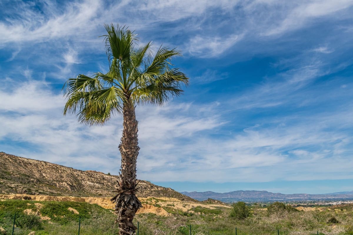 3 camera da letto Appartamento in vendita in Algorfa - 375.000 € (Rif: 9363709)