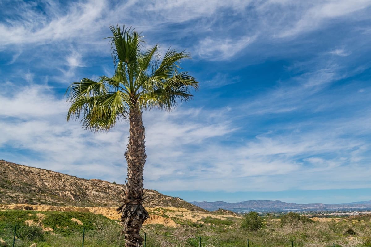 3 soverom Leilighet til salgs i Algorfa - € 355 000 (Ref: 9363709)