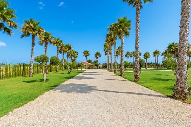 5 bedroom Finca/Country House for sale in Centro, Elche / Elx - € 1,100,000 (Ref: 9363789)