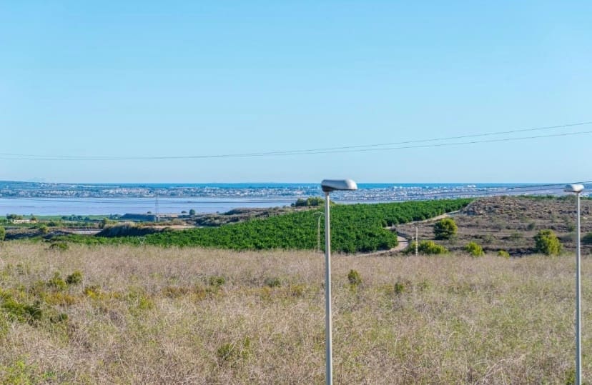 Chalet de 3 habitaciones en San Miguel de Salinas en venta - 355.000 € (Ref: 9363790)