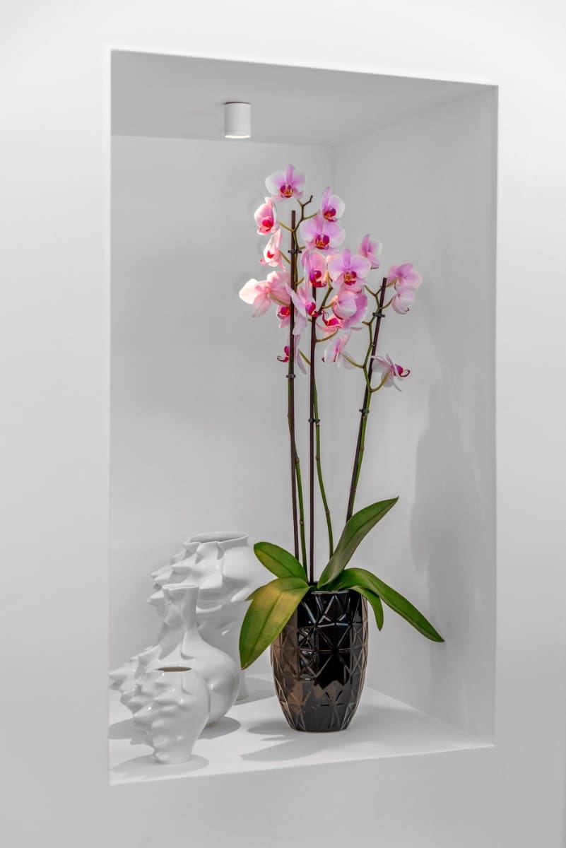 4 bedroom Villa for sale in Guardamar del Segura - € 1,390,000 (Ref: 9363831)