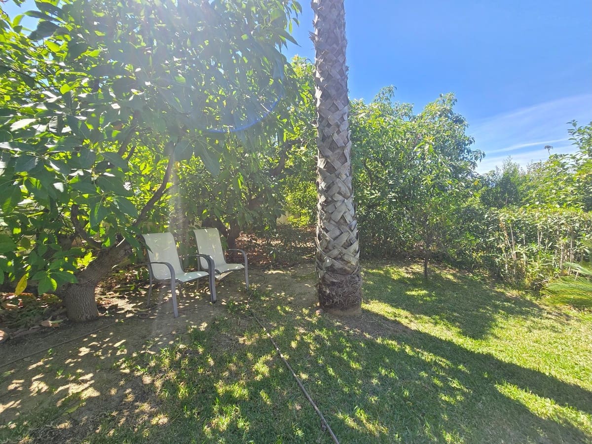 6 quarto Quinta/Casa Rural para venda em Alhaurin el Grande - 890 000 € (Ref: 9363864)