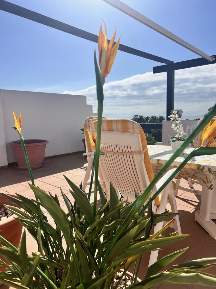 Ático de 2 habitaciones en Bel-Air en venta - 459.000 € (Ref: 9363890)