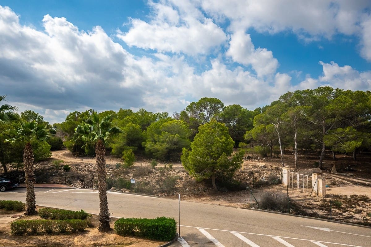 2 bedroom Apartment for sale in Lo Crispin - € 229,000 (Ref: 9363928)