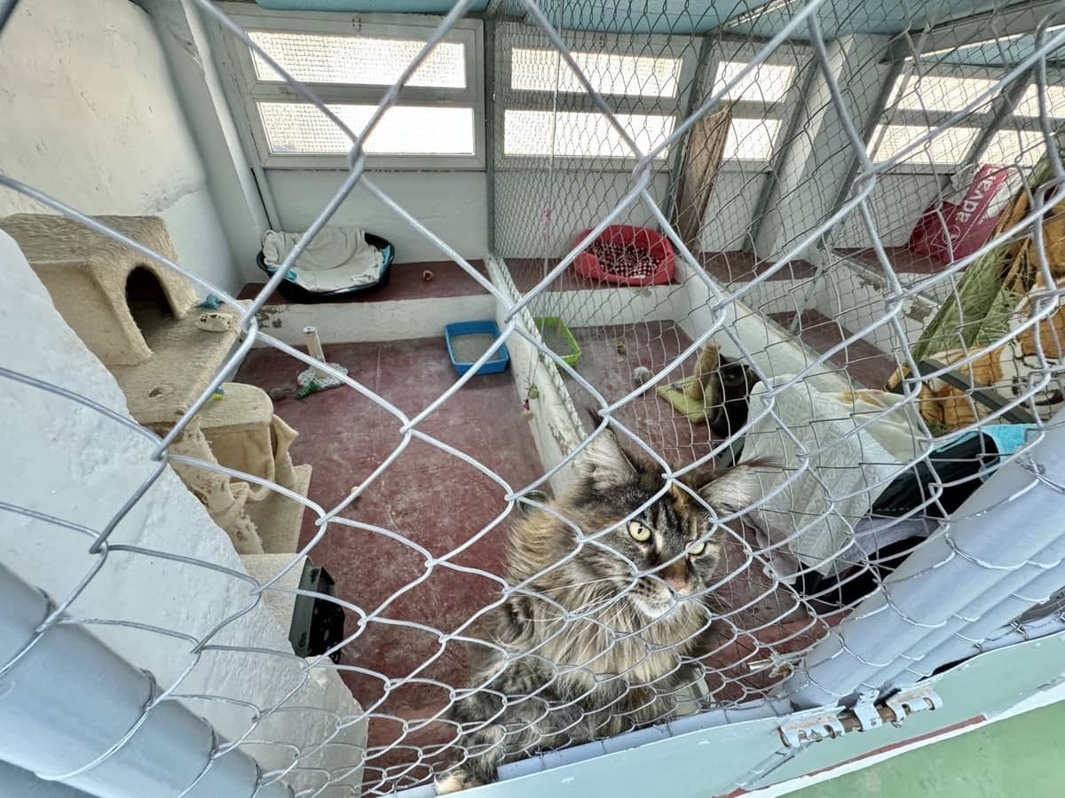 5 soveværelse Finca/Landehus til salg i Mijas - € 1.395.000 (Ref: 9363983)