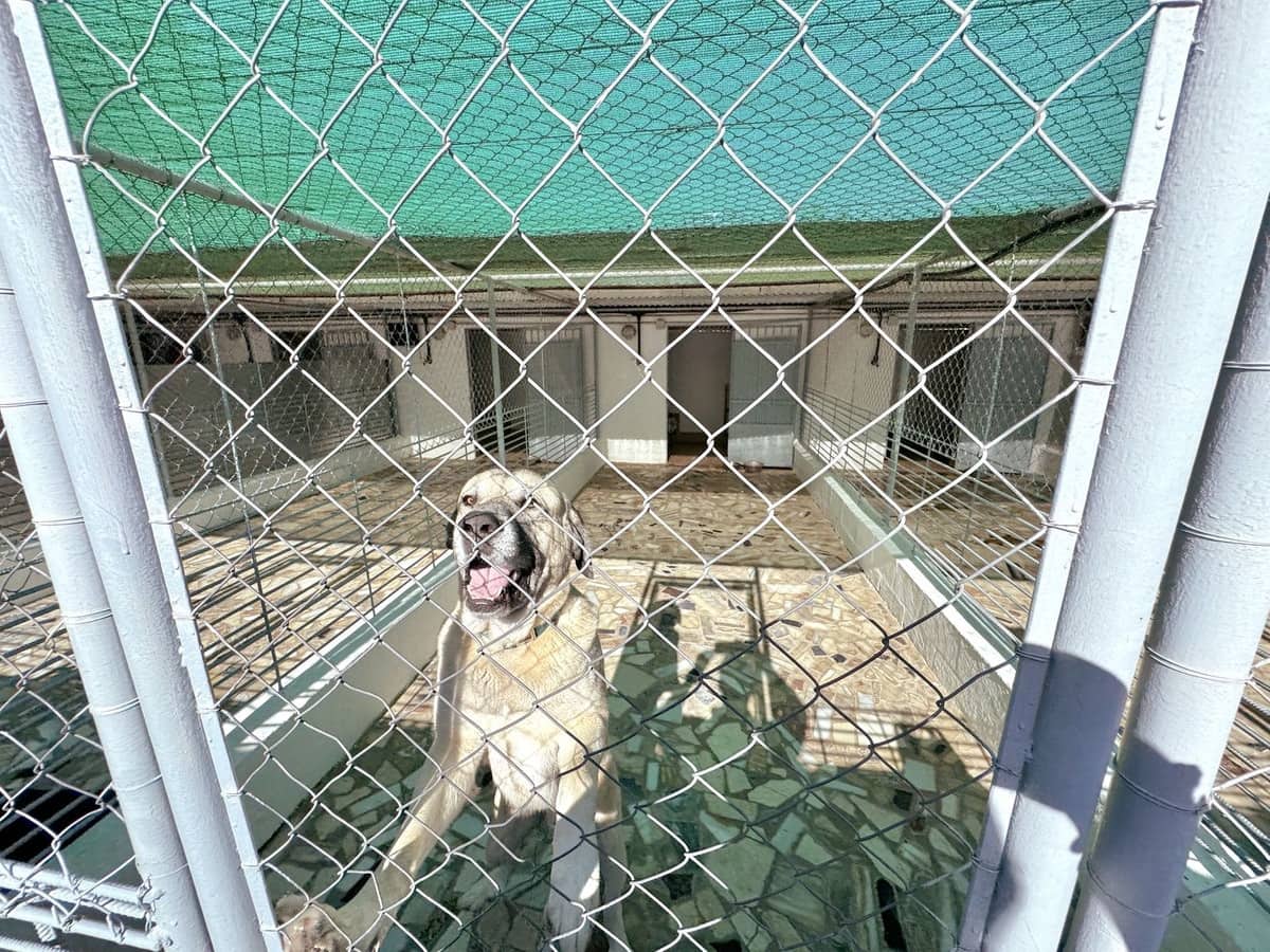 5 soveværelse Finca/Landehus til salg i Mijas - € 1.395.000 (Ref: 9363983)