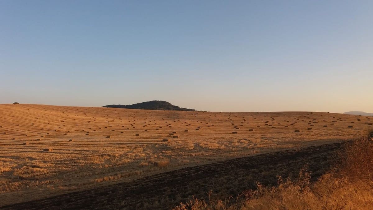 8 sovrum Finca/Hus på landet till salu i Antequera - 8 000 000 € (Ref: 9364015)